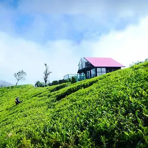 The Blackberry Hotel